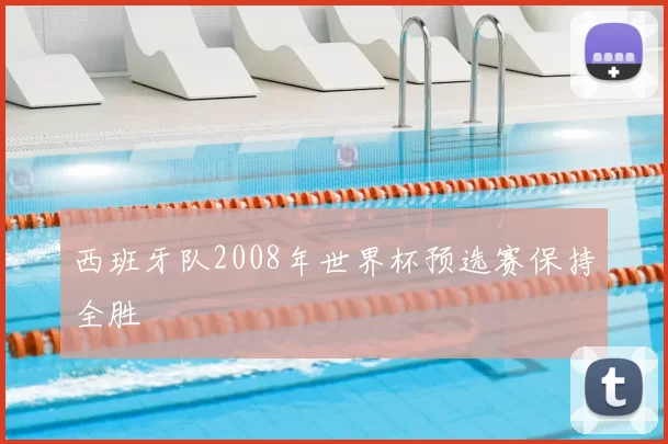 西班牙队2008年世界杯预选赛保持全胜