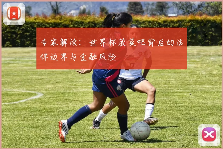 专家解读：世界杯菠菜吧背后的法律边界与金融风险