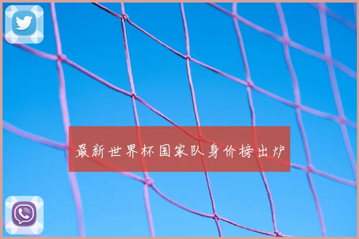 最新世界杯国家队身价榜出炉