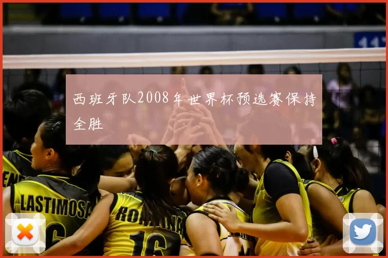 西班牙队2008年世界杯预选赛保持全胜
