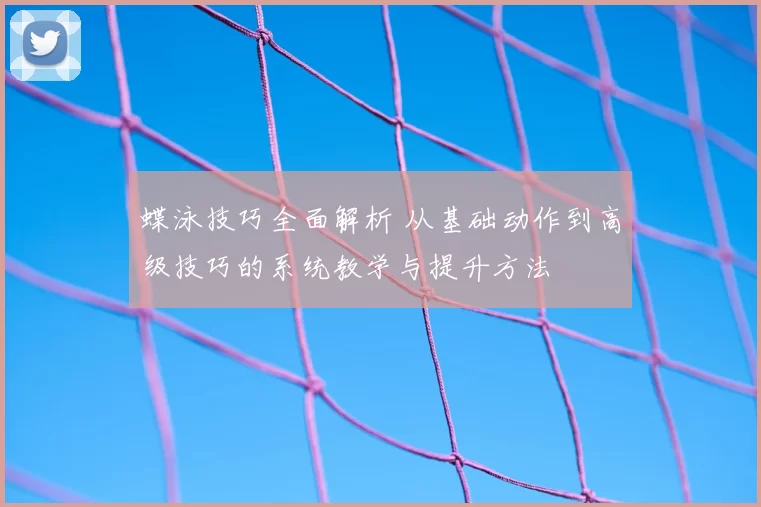 蝶泳技巧全面解析 从基础动作到高级技巧的系统教学与提升方法