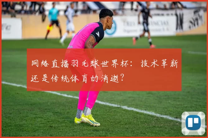 网络直播羽毛球世界杯：技术革新还是传统体育的消逝？