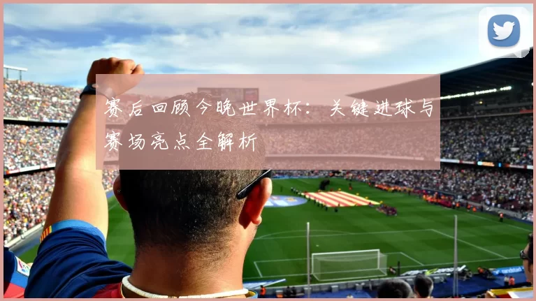 赛后回顾今晚世界杯：关键进球与赛场亮点全解析