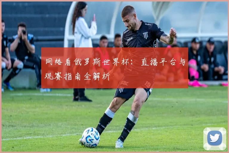 网络看俄罗斯世界杯：直播平台与观赛指南全解析