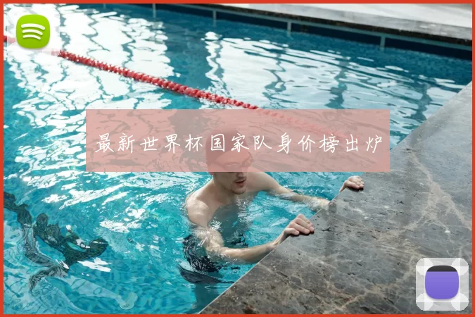 最新世界杯国家队身价榜出炉
