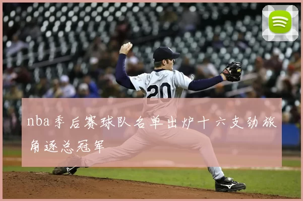 nba季后赛球队名单出炉十六支劲旅角逐总冠军