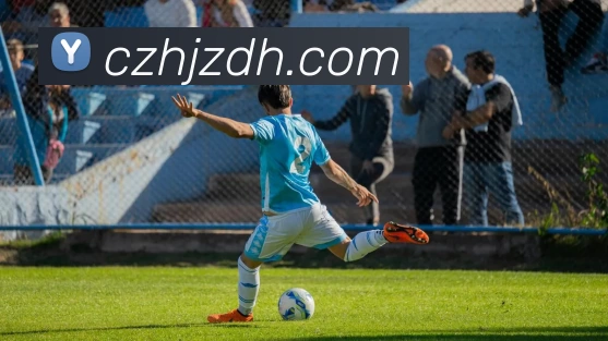 爱游戏官网服务体系